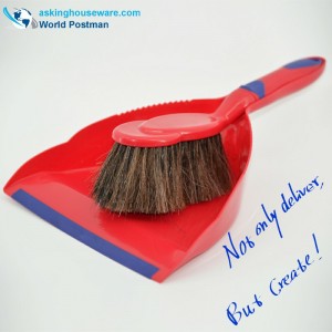 Akbrand Dustpan kefekefe lófarok sörtékkel